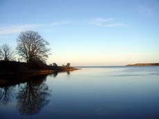 View of Budle Bay from near Eider Self-catering Cottage in Warren Mill, Northumberland, UK