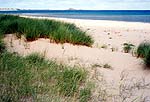 Ross Beach on the stunning Northumberland Coast